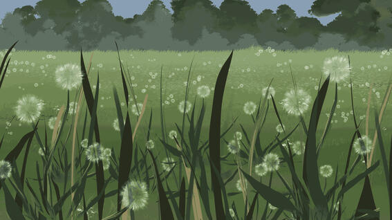 Grassy Field - Kamadhenu and Nandini Film Background